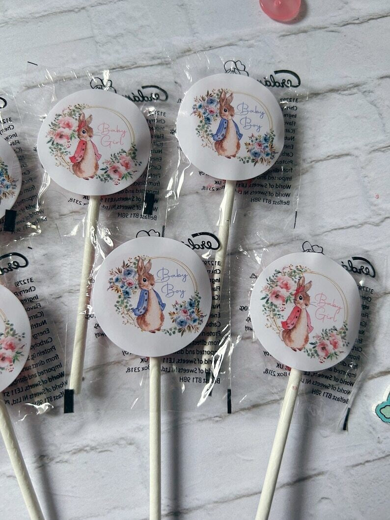 10 x Peter Rabbit or Flopsy Baby shower lollipops Gender Reveal Baby shower favour Baby shower party bags pink or blue Baby shower lollies