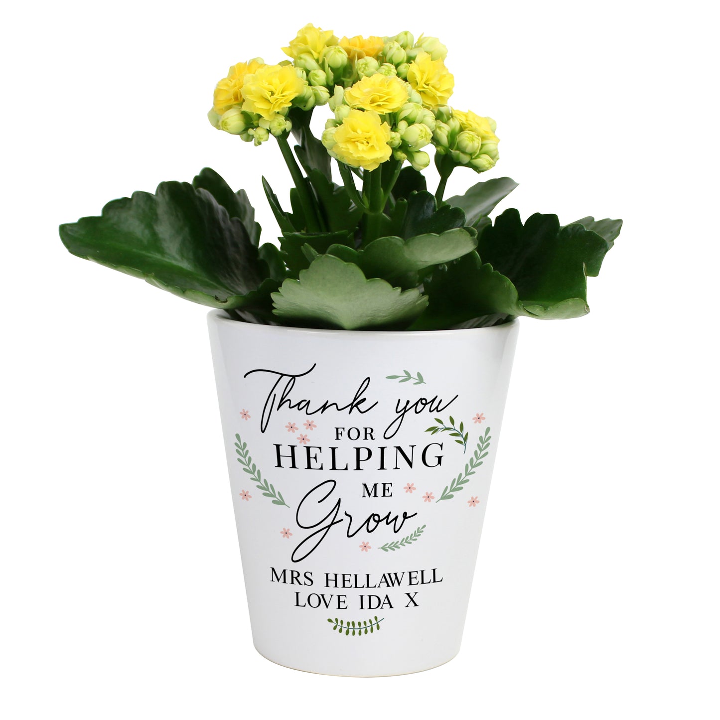 Personalised Thank You For Helping Me Grow Plant Pot