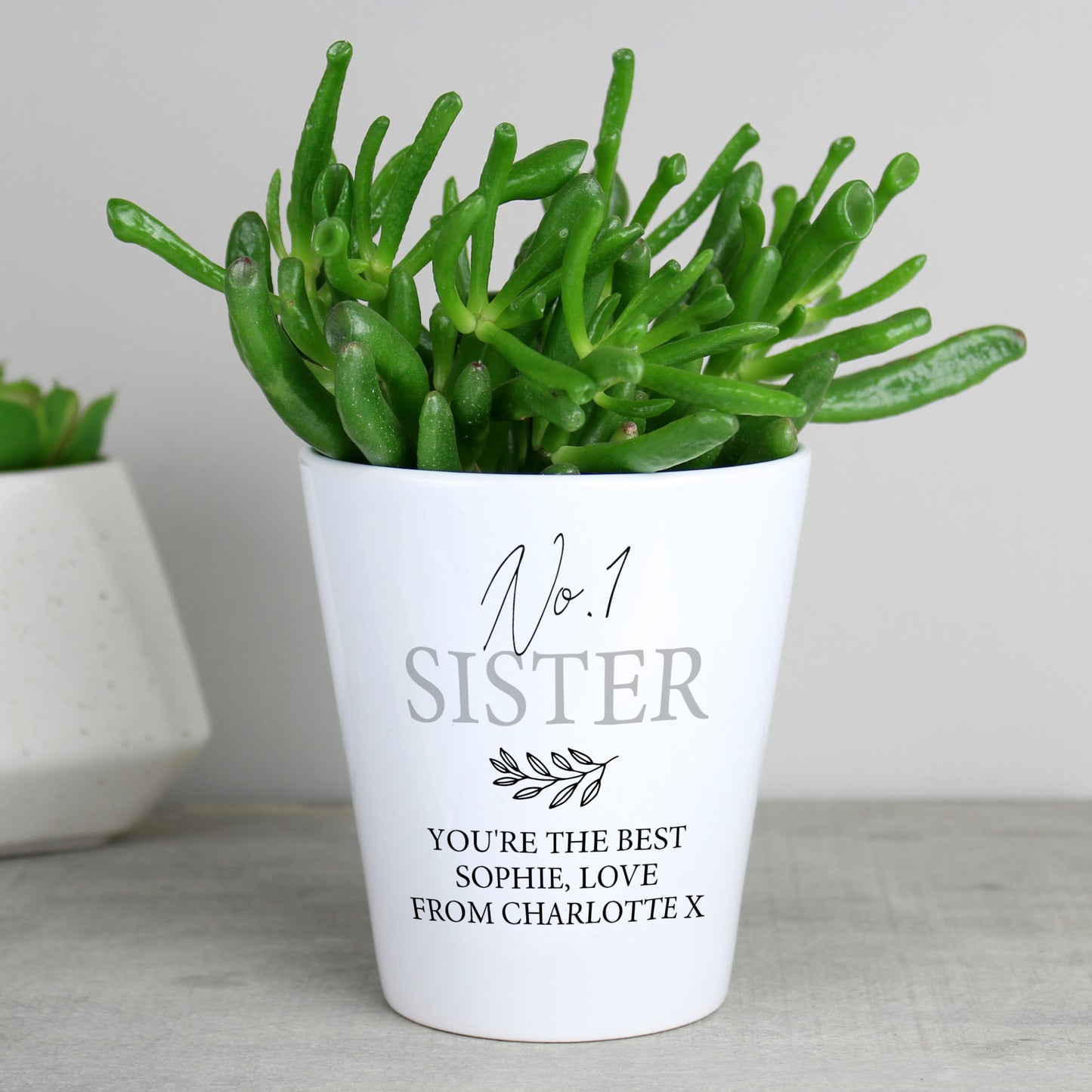 Personalised Free Text Plant Pot